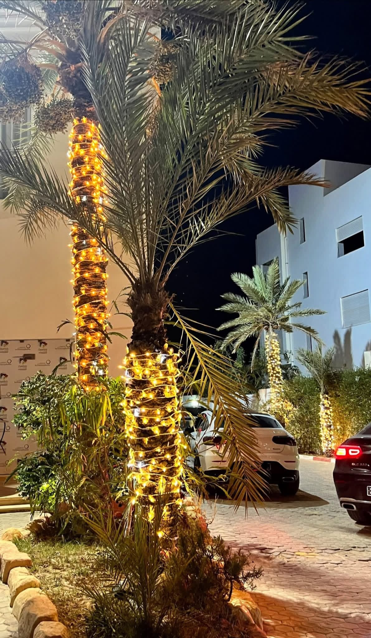 Guirlande Lumineuse LED 10m – Étanchéité & Haute Performance