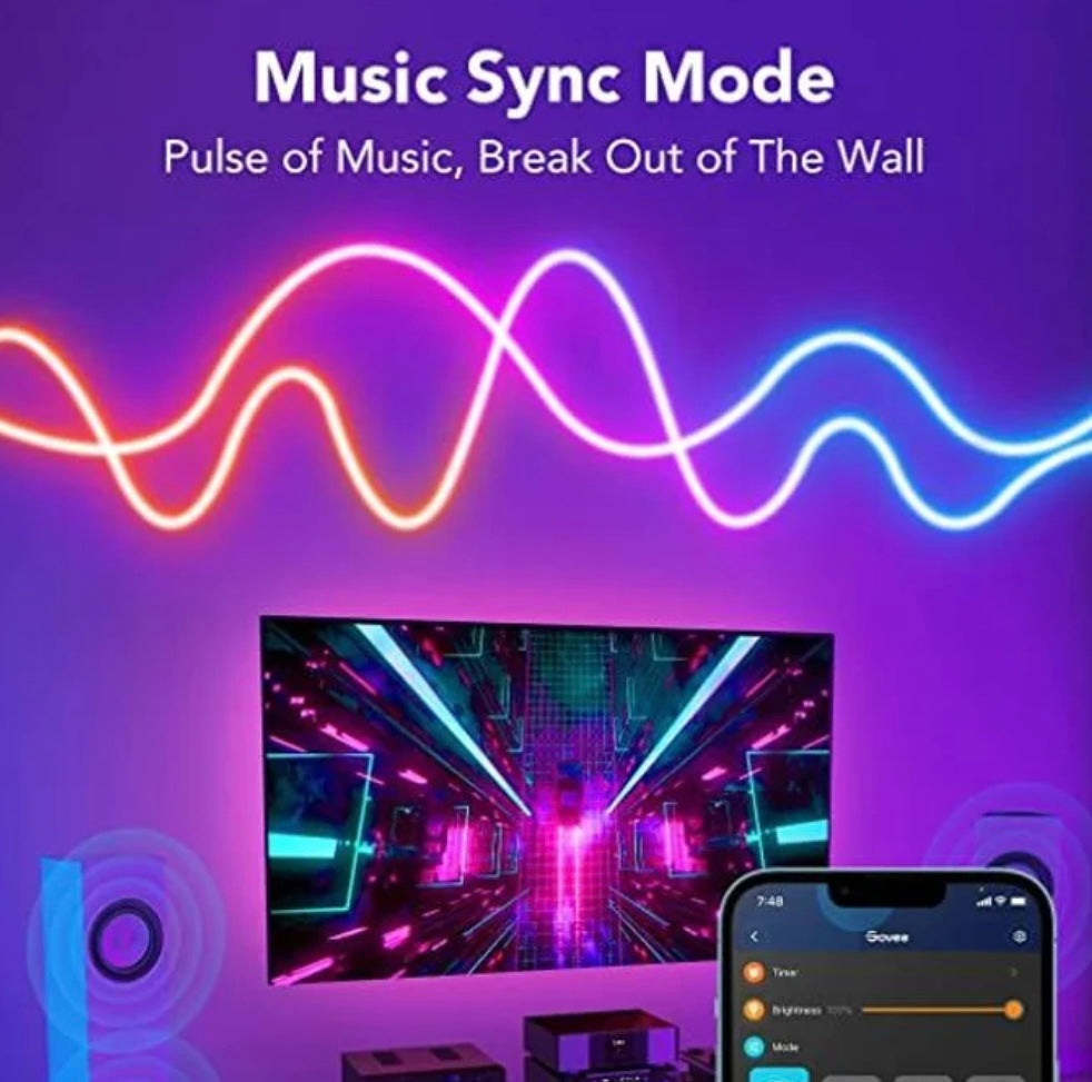 Led Neon smart RGB
