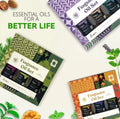 Coffret Trio d'Huiles Parfumées - Collection Bien-être
